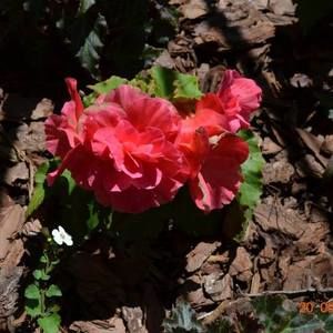 Meet your Posher, Mar